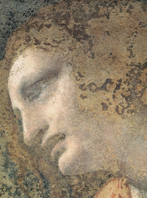 Leonardo+da+Vinci-1452-1519 (221).jpg